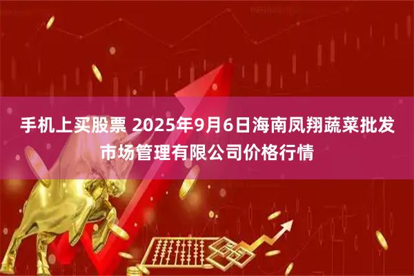 手机上买股票 2025年9月6日海南凤翔蔬菜批发市场管理有限公司价格行情